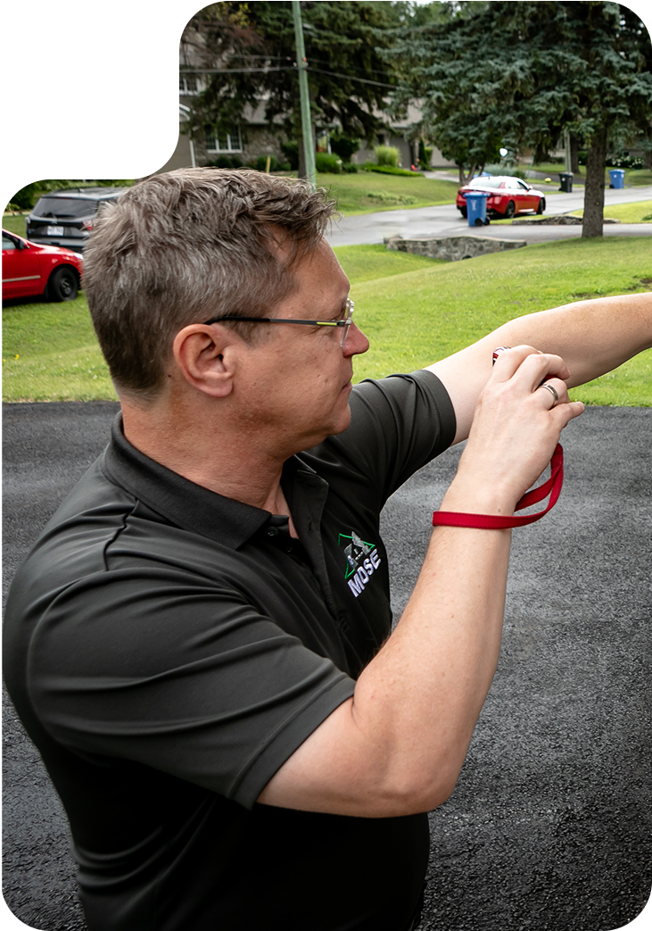 More Than Just Inspectors More Than Just Inspectors